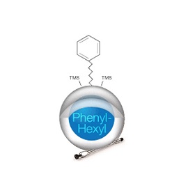 Kinetex 2.6 µm Phenyl-Hexyl product photo