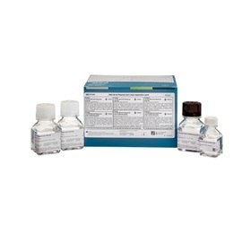 DNA 20 kb Plasmid and Linear separation pack product photo